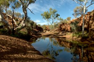case study filming in australia